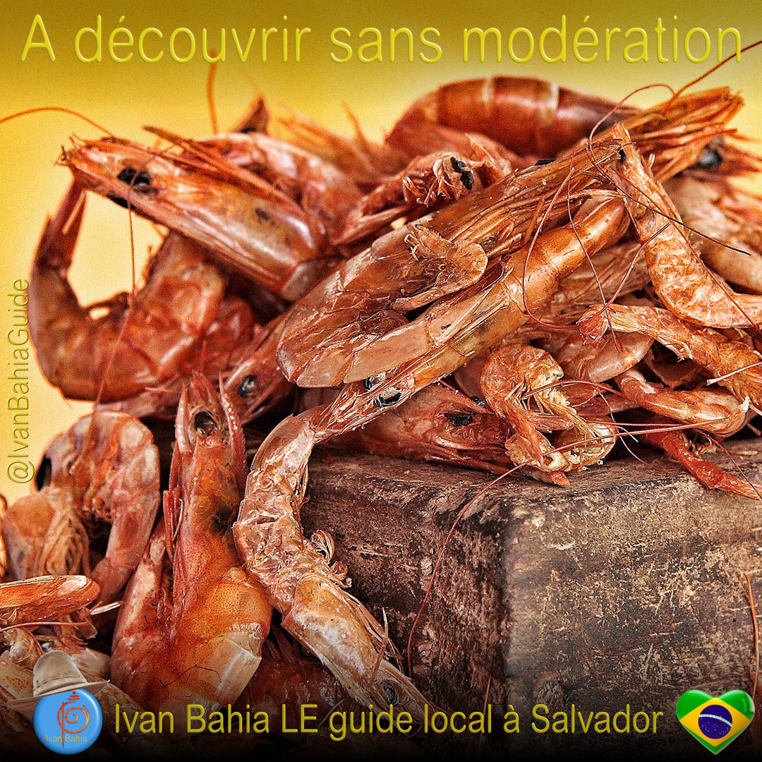 Les typiques crevettes sechées au Marché Mercado Sao Joachim, Salvador da Bahia, à dévouvrir avec Ivan Bahia Guide @ivanbahiaguide #IvanBahiaGuide #IvanSalvadorGuide #Bresil #BresilEssentiel  #SalvadorGuide #BahiaFotoguidebresil #FernandoBingreTourGuide #VoyageBahia #VoyagerAuBresil #IBG #GuideDeTourismeSalvadorBahiaBresil